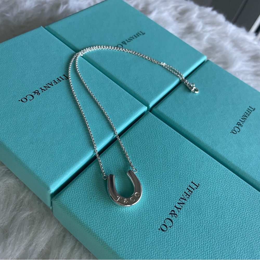 Tiffany and Co. Silver Horseshoe Necklace - Picture 13 of 15